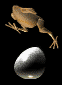 Chicken-03-june.gif (17101 bytes)