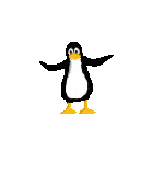 animated penguin