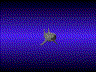 shark animation