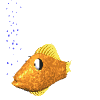 animated fish