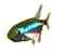 tetra animation