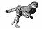 Cheetah-02-june.gif (13654 bytes)