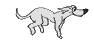 free dog animation