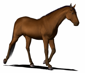 Horse Transparent Background Gif - img-Abbey