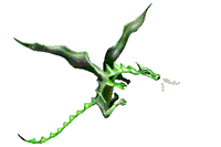 Beware of the DRAGON!