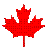 animated canadian flag
