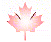 canadian flag pic animation