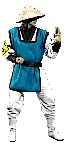 raiden animation