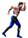 mortal kombat subzero