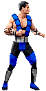 subzero animation gif