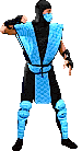 animated Subzero