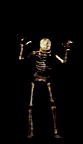 skeleton