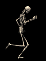 Skeleton-20-june.gif