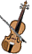 Violin-03-june.gif