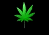 animated pot leaf