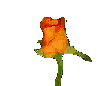 animated rose