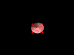 animated rocket