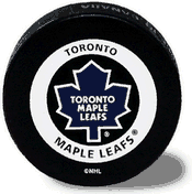 hockey puck animation