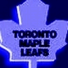 maple leafs
