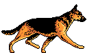 free dog clip art gif
